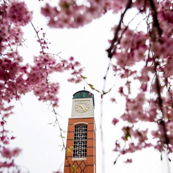 The carillon is shown with pink tree blossoms in the foreground.