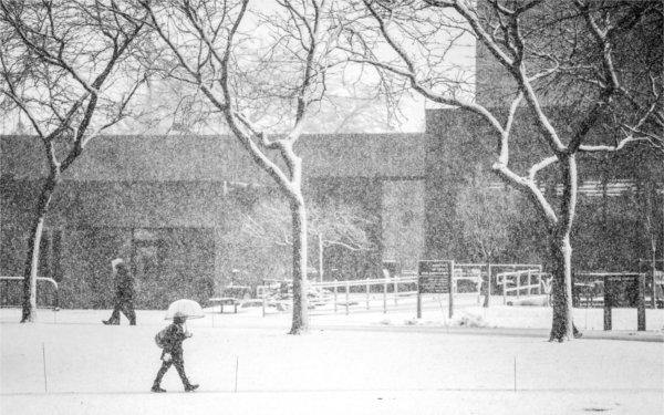  在大学校园里，一个人带着一把伞来遮挡下雪的天气. 